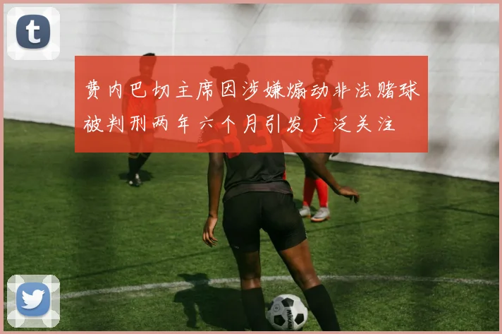 费内巴切主席因涉嫌煽动非法赌球被判刑两年六个月引发广泛关注