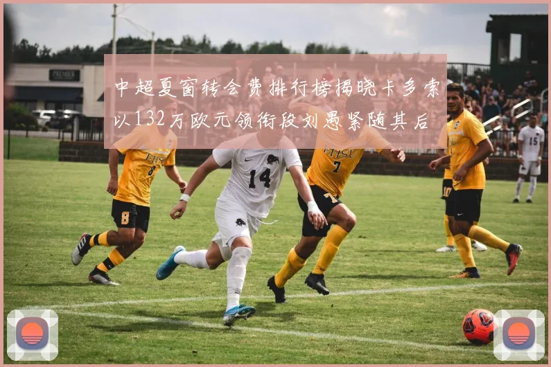 中超夏窗转会费排行榜揭晓卡多索以132万欧元领衔段刘愚紧随其后